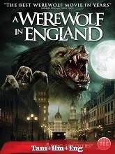 A Werewolf in England